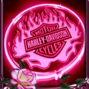 Meet your Posher, Dayna